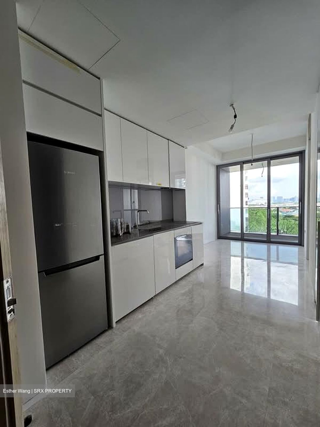 Amber Park (D15), Condominium #607943291